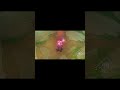 ¿En qué se parecen Faker y Orianna? ¡Pues en que ambos dominan el juego!