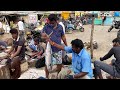 Big Seer Fish Cutting& Slicing in Kasimedu Fish Market (Per Kg 950 Rs)