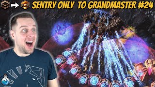 MASS SENTRY vs MASS MUTALISK MADNESS! | Sentry Only to Grandmaster #24 StarCraft 2