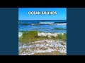 Ocean Sounds, Pt. 59