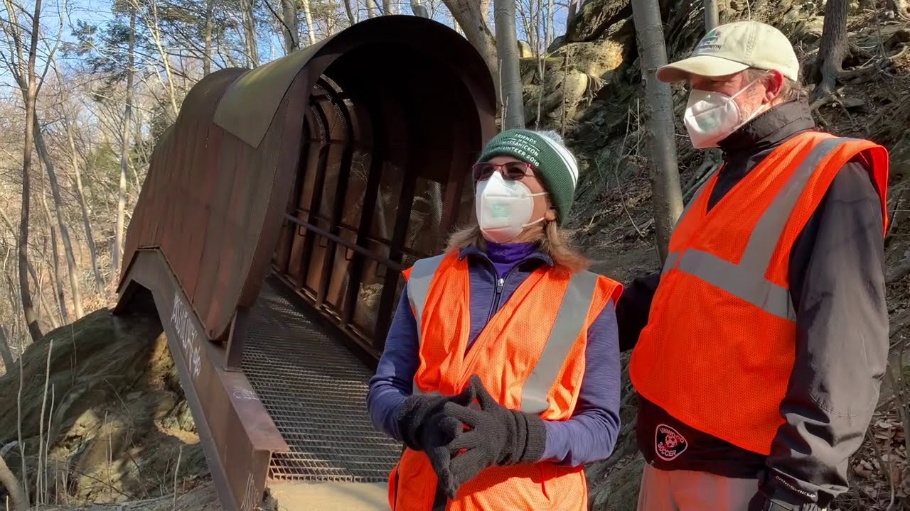 TA Talk: Fingerspan Bridge Hike!