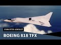 Boeing 818 tfx the actual aardvark