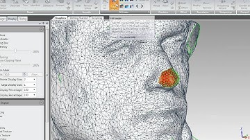 Geomagic Studio 2012   Filling Holes