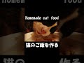 手作り猫ごはん（Home made cat food)
