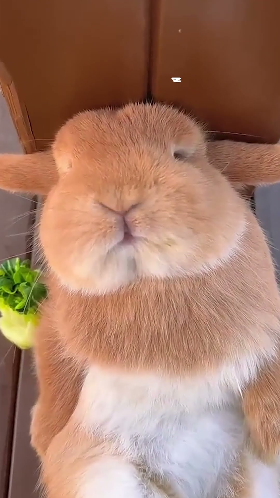 ??