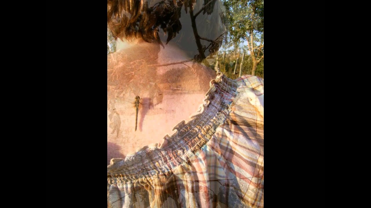 Rural Roosts, Lincolnshire and the surrounding countryside