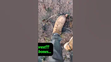 Forest Full Of Human Bones Is Discovered In Imo State 