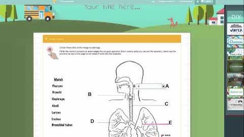 How to Make a Wizer Worksheet: Fill on an Image