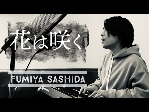 花は咲く |    指田フミヤ  Fumiya Sashida