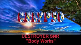 Destroyer Snr - Body Works (Antigua 2019 Calypso)