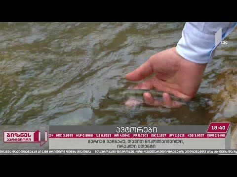 კომპანია „არემჯიმ“ ქართულ წყლებში წლების წინ გადაშენებული თევზის სახეობა „ფარგა“ დააბრუნა