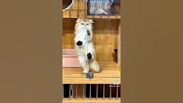لمست ايدي عملت كونتاكت 