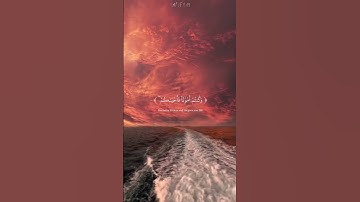 سورة البقرة الآية 28 للقارئ ماهر المعيقلي راحة نفسية