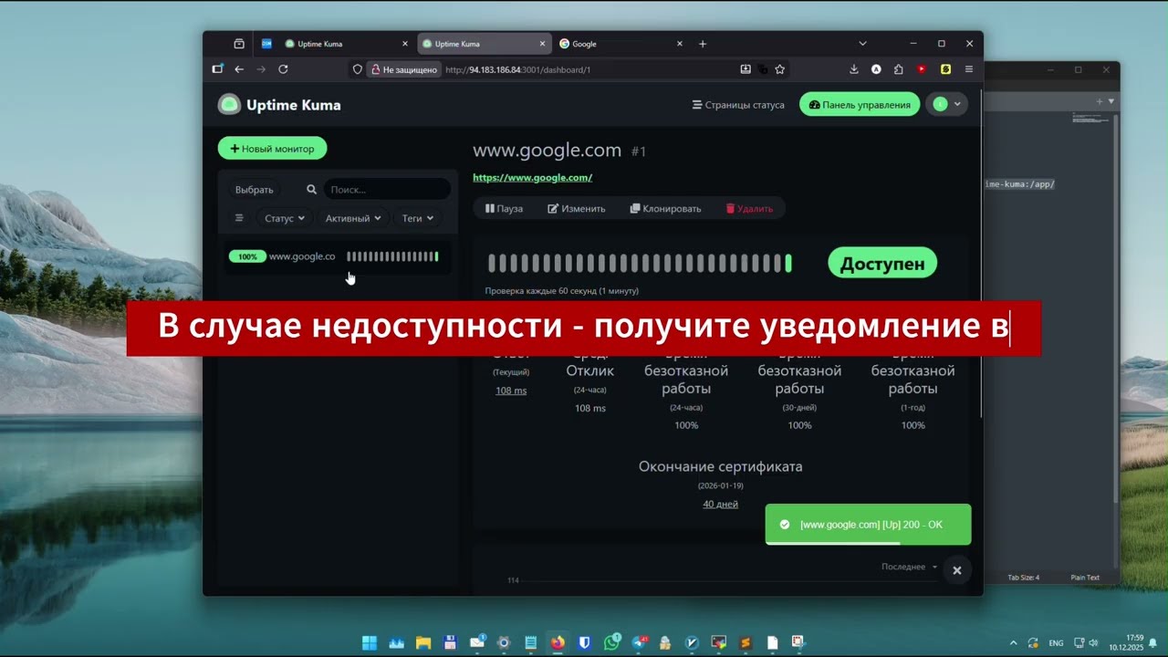 МОНИТОРИНГ САЙТОВ НА СВОЁМ СЕРВЕРЕ: Uptime Kuma за 3 минуты! Без регистраций и подписок!