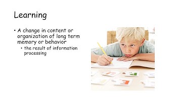 Consumer Behavior: learning, memory and product positioning part 1