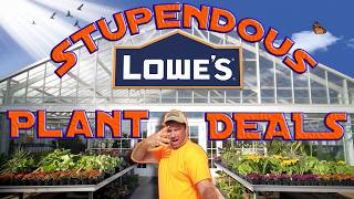 What Plants Should You Buy at Lowes RIGHT NOW?