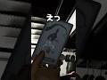 忘れた頃にヤツは来る #phasmophobia #ファズモフォビア #ファスモフォビア #ホラーゲーム #むにエル