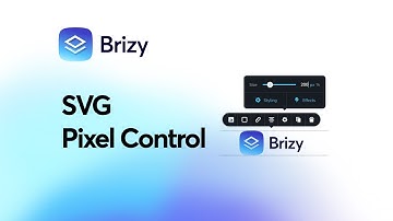 How you can take full Control over your SVG images with Pixels? Brizy WordPress & Cloud