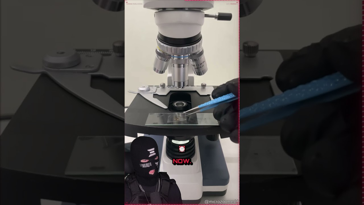 Red Bull vs Coca-Cola Under the Microscope: Microplastics and Visual Impurities Compared