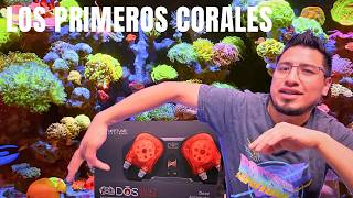 NUEVA ETAPA EN EL ACUARIO DEL FEDELOBO