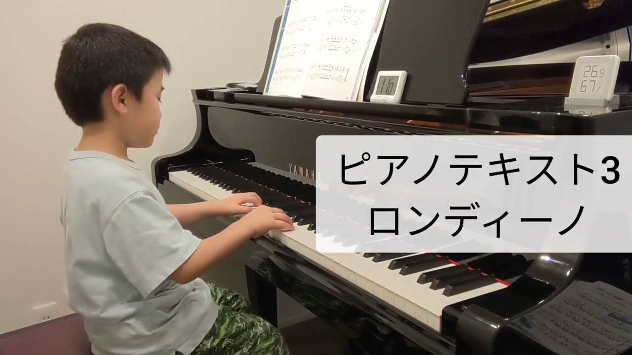 【二ちゃん】ピアノ本体 VISCOUNT Legend '70s Compact モジュール組み換え式ステージピアノ 73