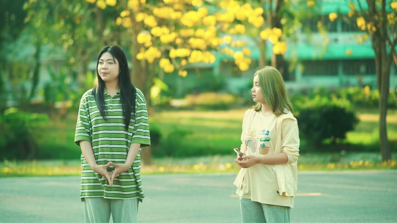 ดอกเหลืองเชียงราย 2569