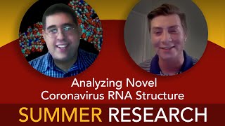 Analyzing Novel Coronavirus RNA Structure