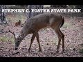 The Best Camping In Georgia Could Be At Stephen C Foster State Park!