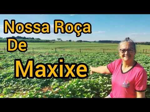 Nossa Roça de Maxixe.