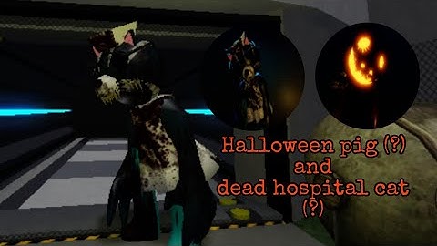 how to get the Halloween pig Badge and dead hospital cat in piggy concept Bots skins