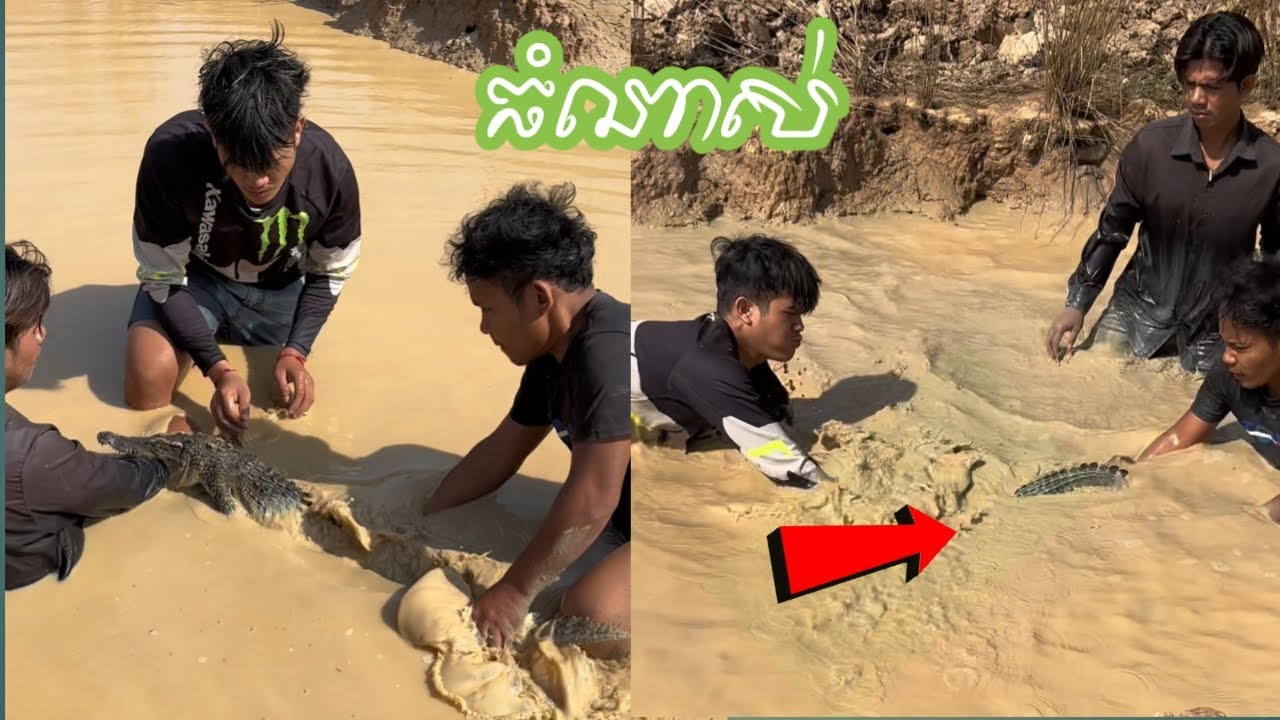 គ្រូតឿប្រយុទ្ធជាមួយក្រពើរទំងន់30គីឡូដែលបានខាំកូនសិស្ស😱មិនជឿកុំប្រមាថ