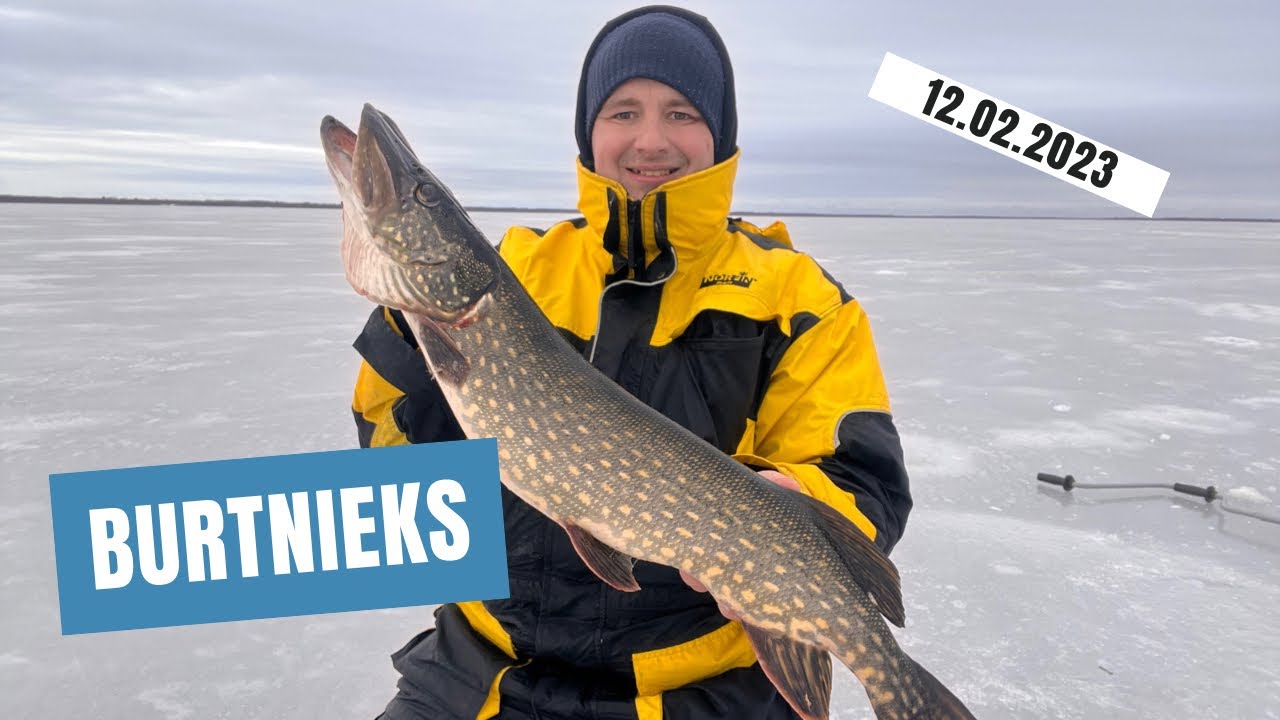 Cope Burtnieka ezerā, kā viemēr ķeru asarus un līdakas - 12.02.2023
