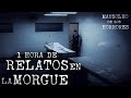 Relatos en la morgue vol 4  especial 150k suscriptores historias de terror