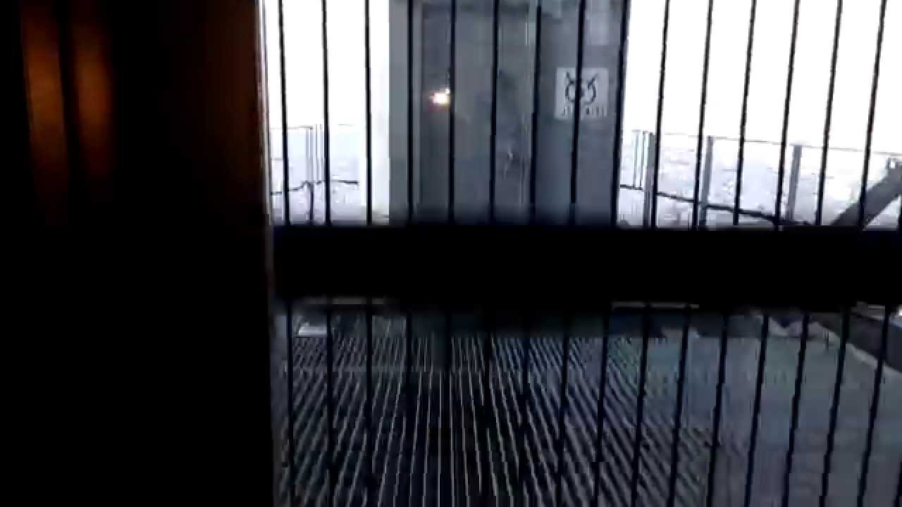 Tokyo Skytree Tembo Galleria to Tembo Deck Elevator