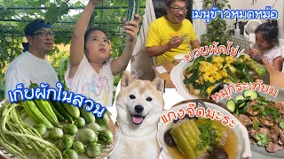 ชีวิตแม่บ้านญี่ปุ่นพาพ่อแว่นโนอะเก็บผักในสวนมาทำเมนูข้าวหมดหม้อ แกงจืดมะระ หมูกระเทียม ผัดบวบใส่ไข่
