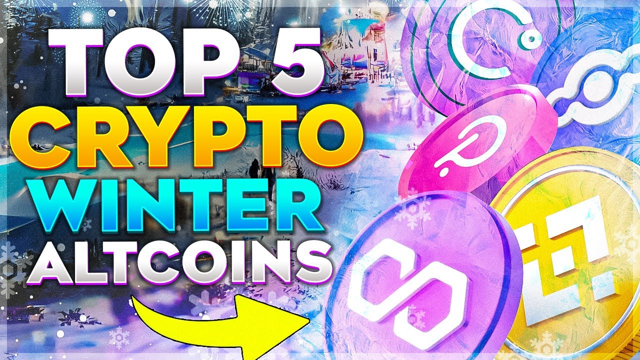 Top 5 Crypto Winter Altcoin Portfolio To Hold! ❄️