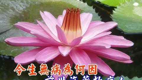 三世因果歌  調寄：孟姜女