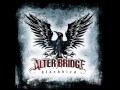 Alter bridge  one by one live