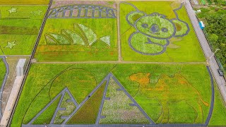 桃園大溪 2021 桃園花彩節大溪展區花彩節主題花遊世界空拍紀錄拍攝作品(高畫質4K版本)