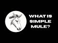 Channel Trailer - What is Simple Mule?