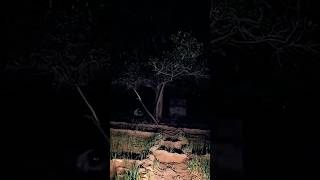 Haunted House ☠️ | #shorts #ytshorts