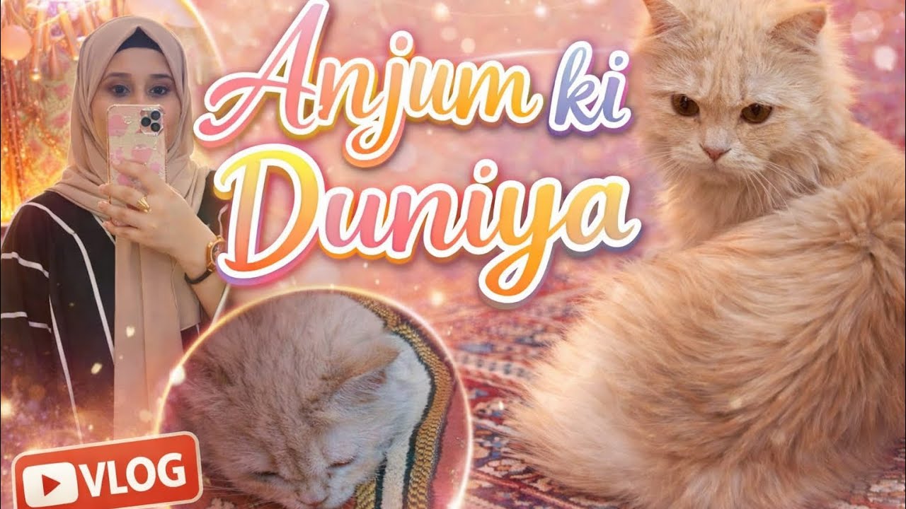Aaj Ka Din 💛Simple Cooking My Beautiful Cat |  Daily Vlog 