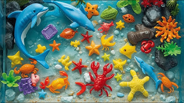 100 coole zeedieren | Zeedieren voor kinderen | Leer namen, feiten en geluiden