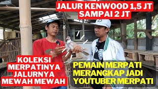 DOR DOR DOR !! Ternak Merpati Keluarga Kenwood - Sapulawan - Mayoret - Rindu - Joda - Arya