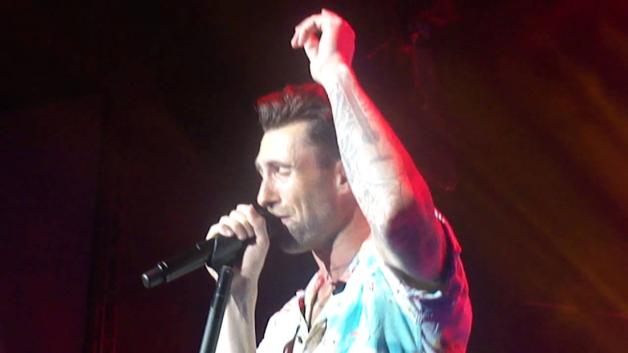 maroon 5 honda civic tour 2013