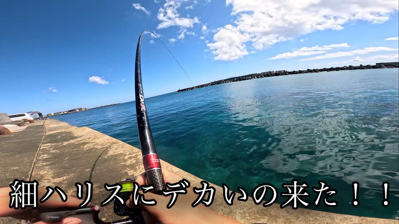 久しぶりにフカセ釣りをすると…