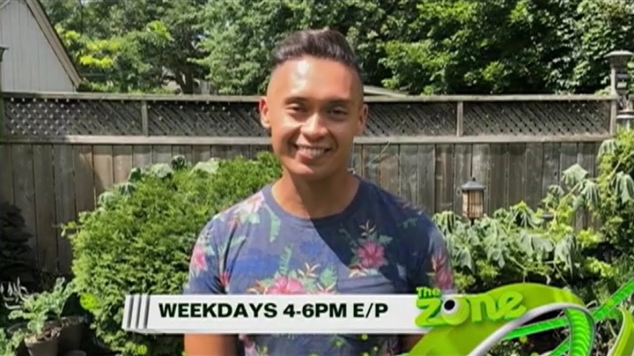 YTV (2020) - The Zone: Alex From Home Promo - YouTube