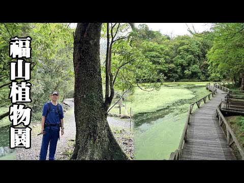 Located at the uppermost reaches of the Hapen River in the "Taiwan Amazon" - Fushan Botani