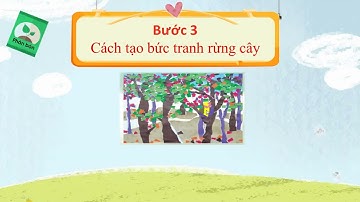 TUẦN 19  RỪNG CÂY RẬM RẠP TIẾT 1  LỚP 2