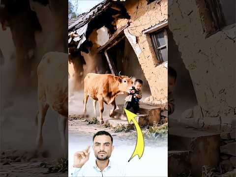 سبحان الله الذي اعطالاهاذا المخلوق شعور واحساس 